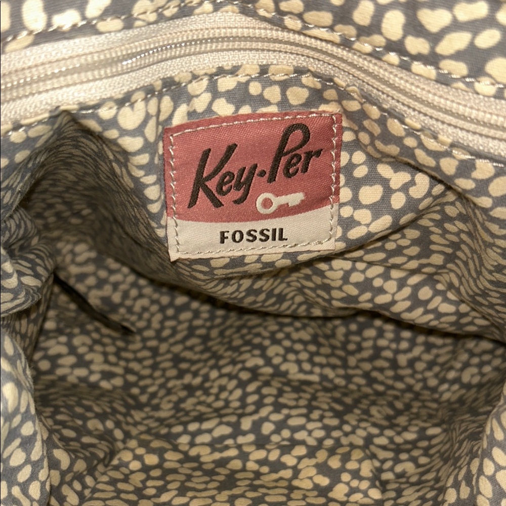 Fossil Set - Picture 13 of 16
